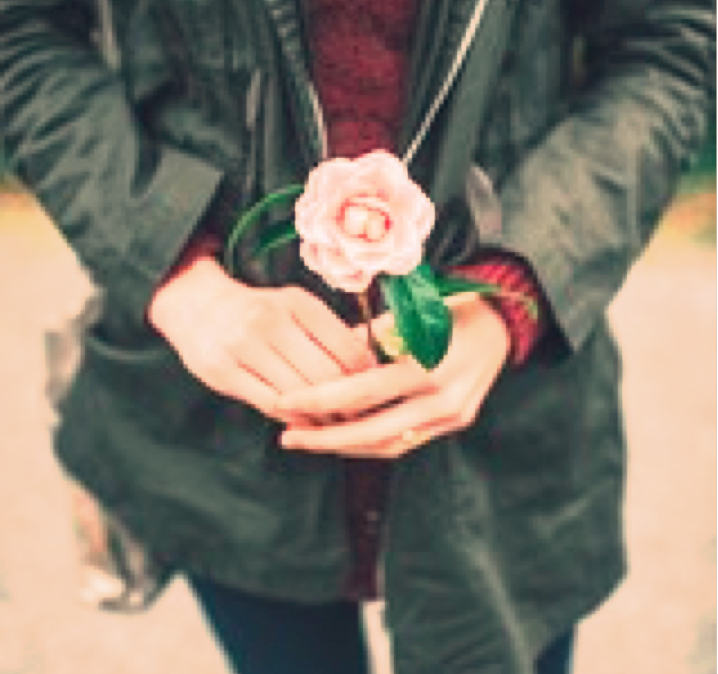 rose
