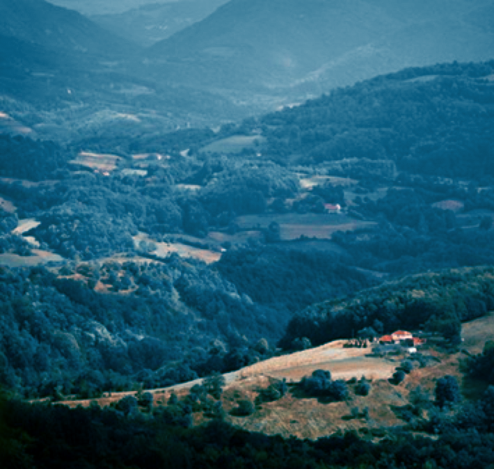 landscape